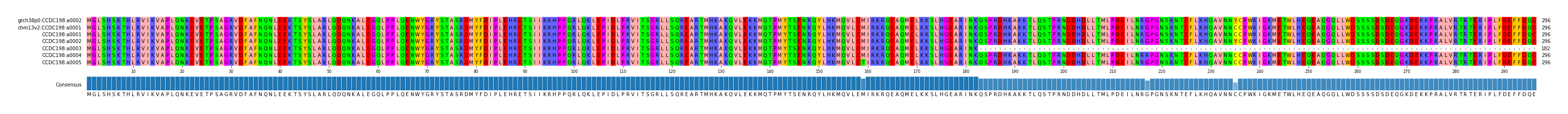 Multiple Alignments (by translate haplotype frequency)