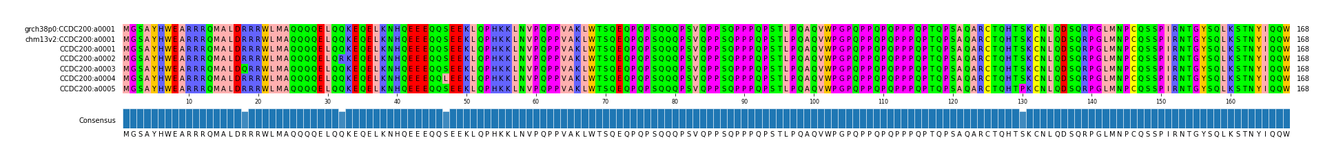 Multiple Alignments (by translate haplotype frequency)