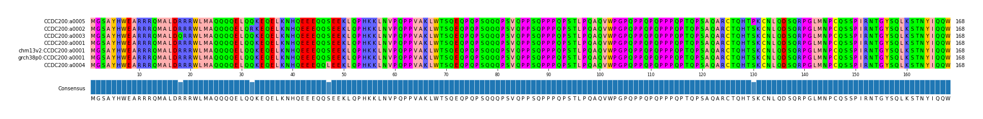Multiple Alignments (by translate haplotype similarity)
