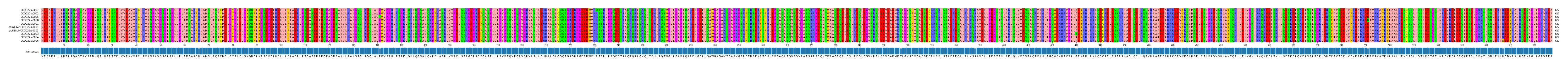Multiple Alignments (by translate haplotype similarity)