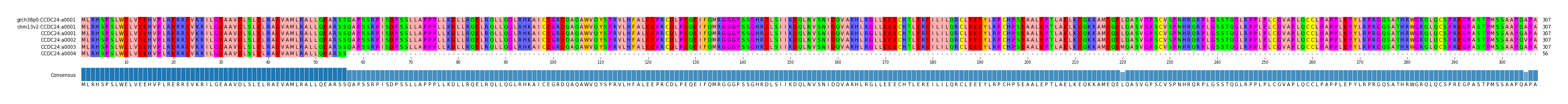 Multiple Alignments (by translate haplotype frequency)