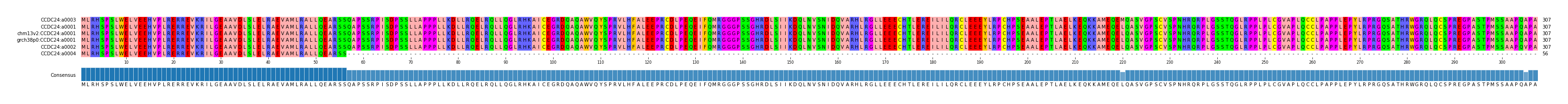 Multiple Alignments (by translate haplotype similarity)