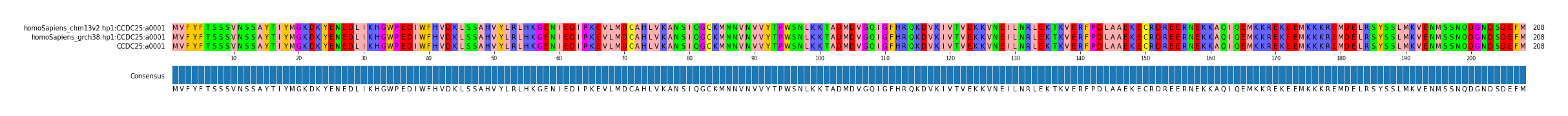 Multiple Alignments (by translate haplotype similarity)