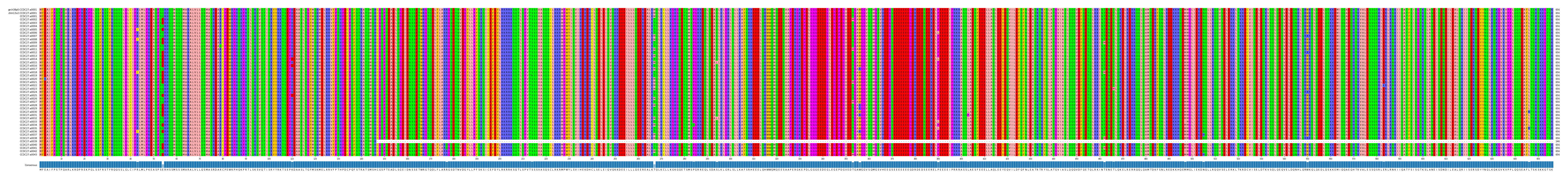Multiple Alignments (by translate haplotype frequency)