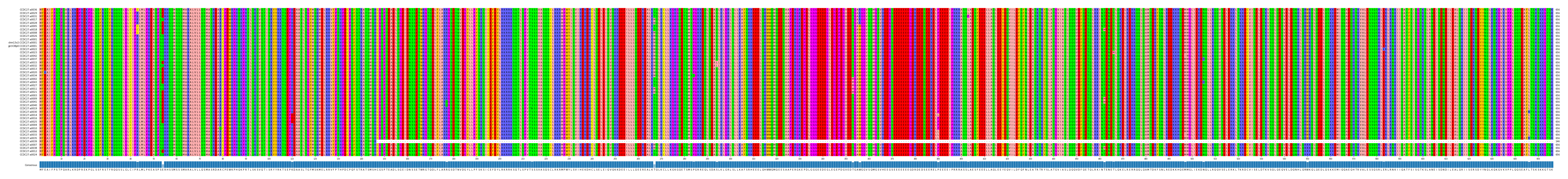 Multiple Alignments (by translate haplotype similarity)
