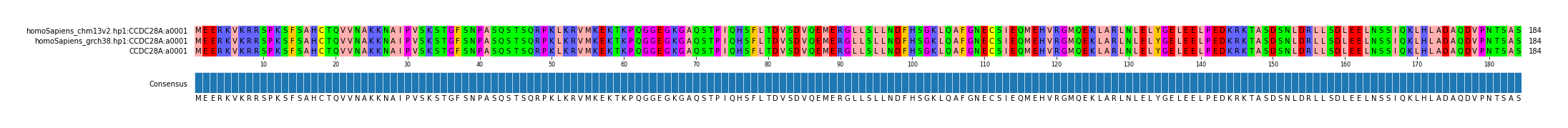 Multiple Alignments (by translate haplotype similarity)