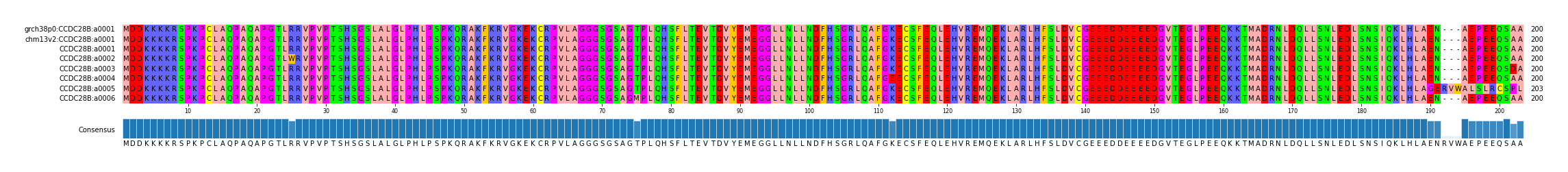 Multiple Alignments (by translate haplotype frequency)