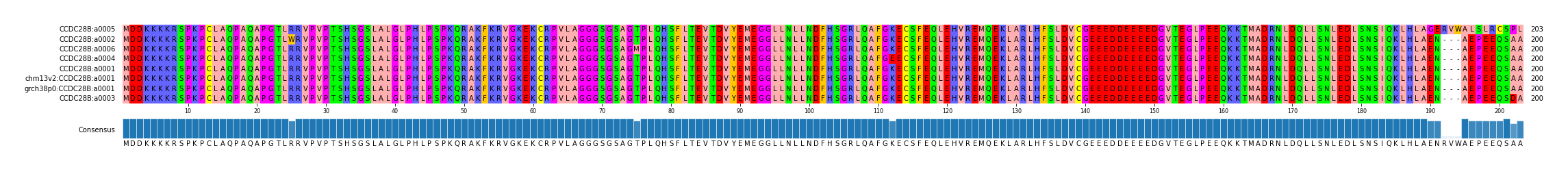 Multiple Alignments (by translate haplotype similarity)