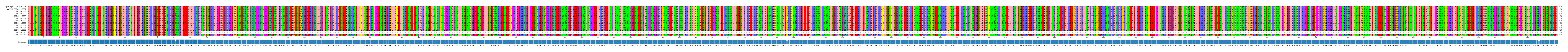 Multiple Alignments (by translate haplotype frequency)