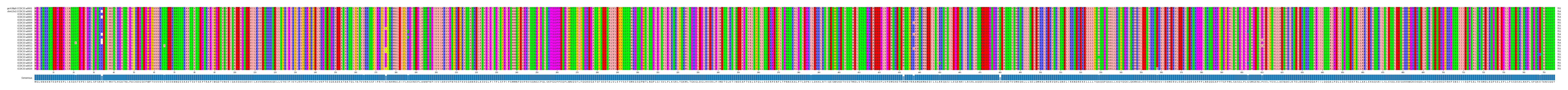 Multiple Alignments (by translate haplotype frequency)