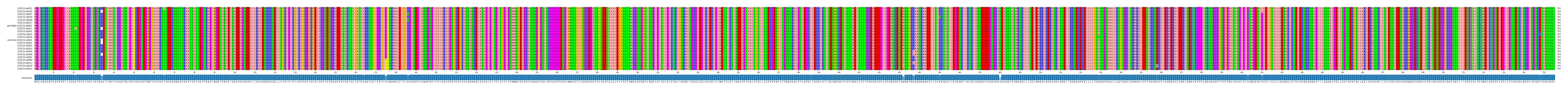 Multiple Alignments (by translate haplotype similarity)