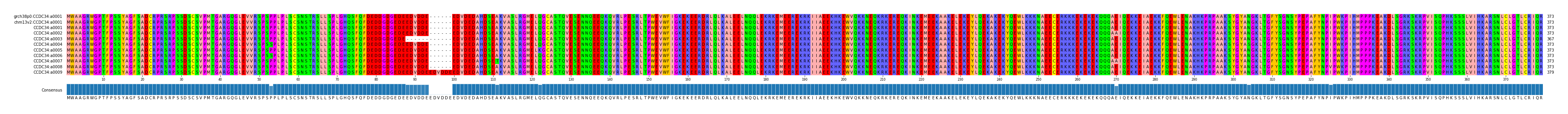 Multiple Alignments (by translate haplotype frequency)