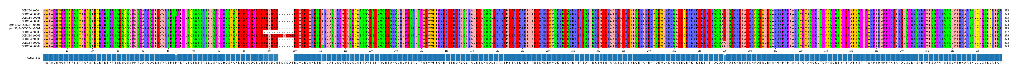 Multiple Alignments (by translate haplotype similarity)