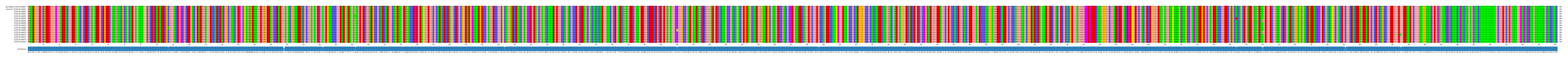 Multiple Alignments (by translate haplotype frequency)