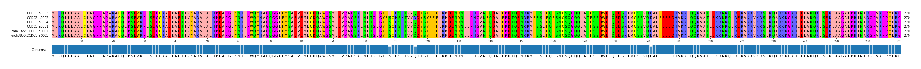 Multiple Alignments (by translate haplotype similarity)