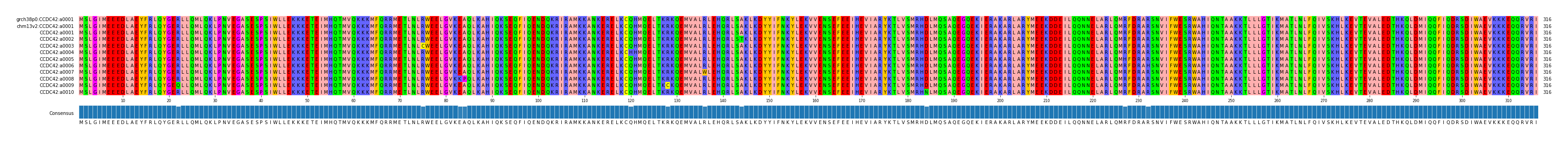 Multiple Alignments (by translate haplotype frequency)