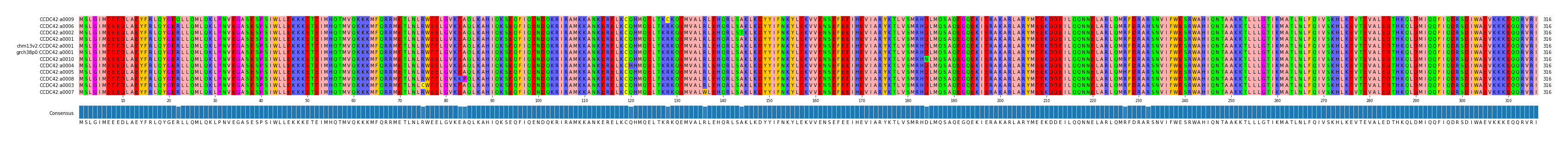 Multiple Alignments (by translate haplotype similarity)
