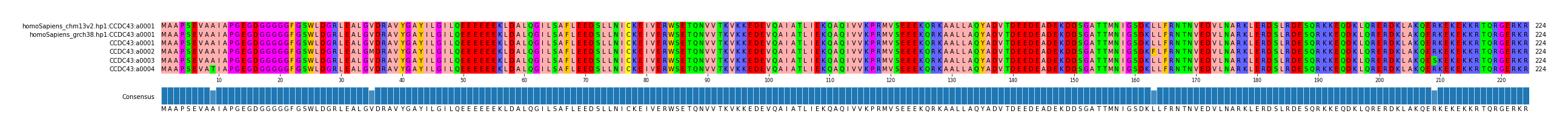 Multiple Alignments (by translate haplotype frequency)