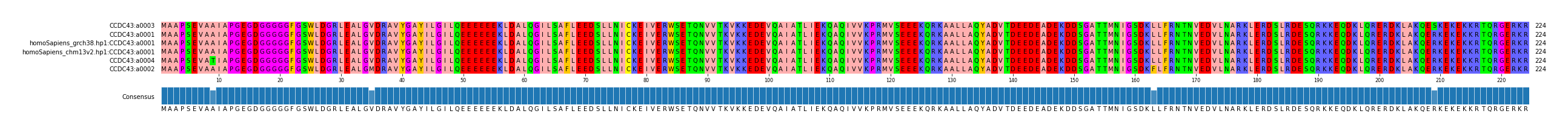 Multiple Alignments (by translate haplotype similarity)