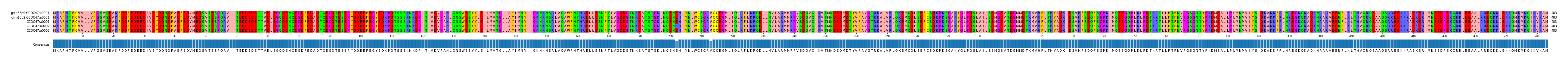 Multiple Alignments (by translate haplotype frequency)