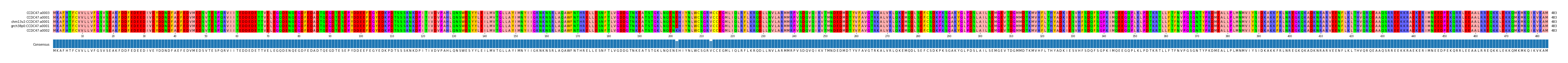 Multiple Alignments (by translate haplotype similarity)