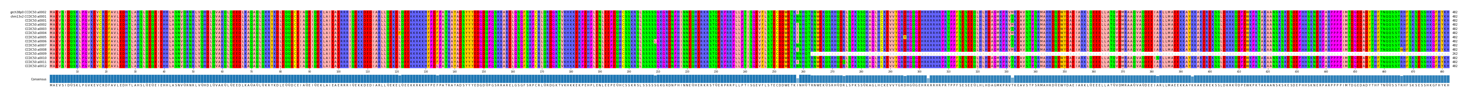 Multiple Alignments (by translate haplotype frequency)