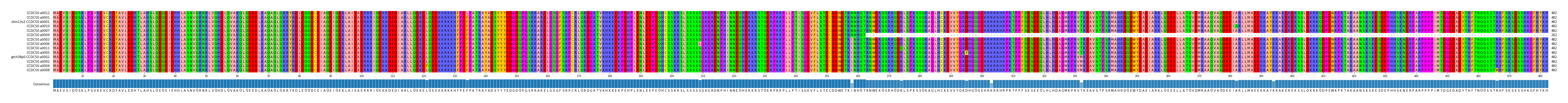 Multiple Alignments (by translate haplotype similarity)