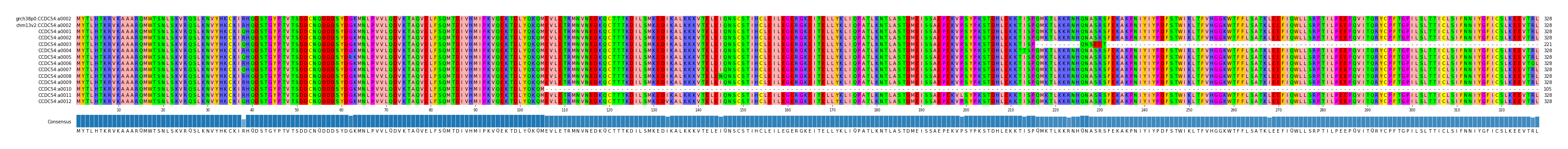 Multiple Alignments (by translate haplotype frequency)