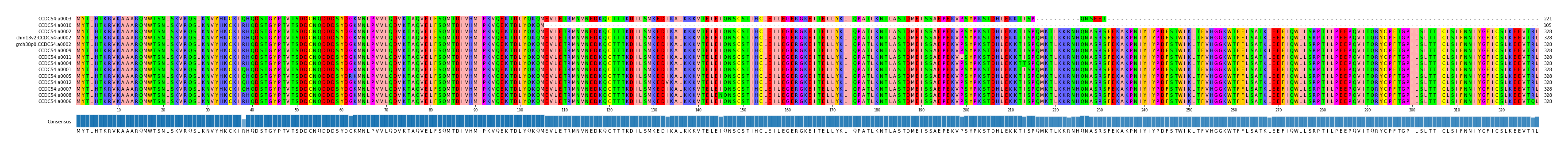 Multiple Alignments (by translate haplotype similarity)