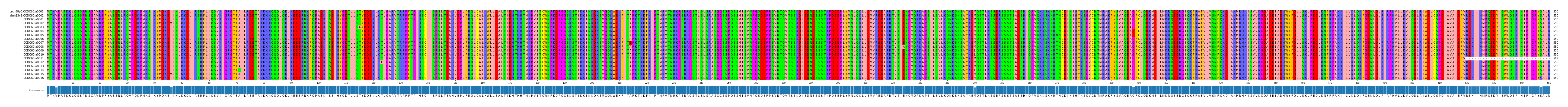 Multiple Alignments (by translate haplotype frequency)