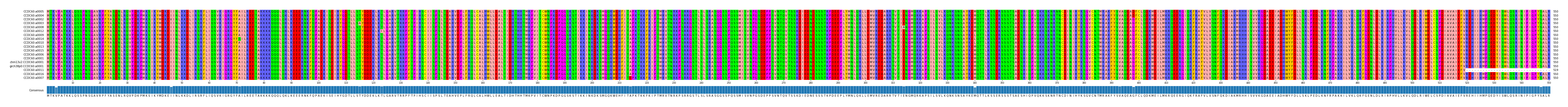 Multiple Alignments (by translate haplotype similarity)
