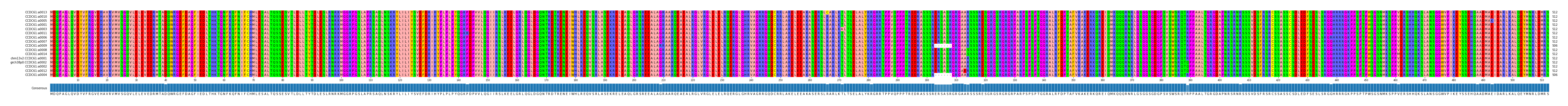 Multiple Alignments (by translate haplotype similarity)