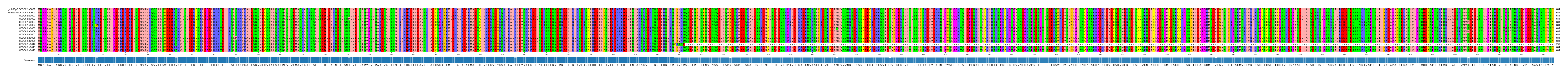 Multiple Alignments (by translate haplotype frequency)