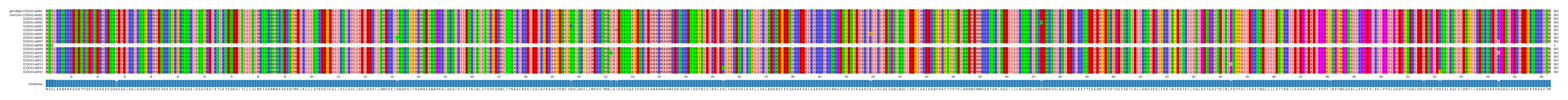 Multiple Alignments (by translate haplotype frequency)