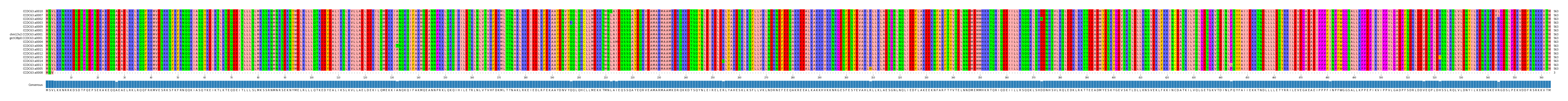 Multiple Alignments (by translate haplotype similarity)