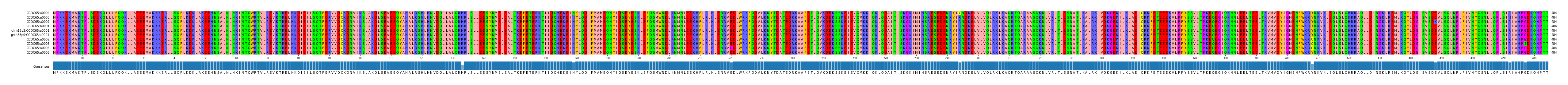 Multiple Alignments (by translate haplotype similarity)