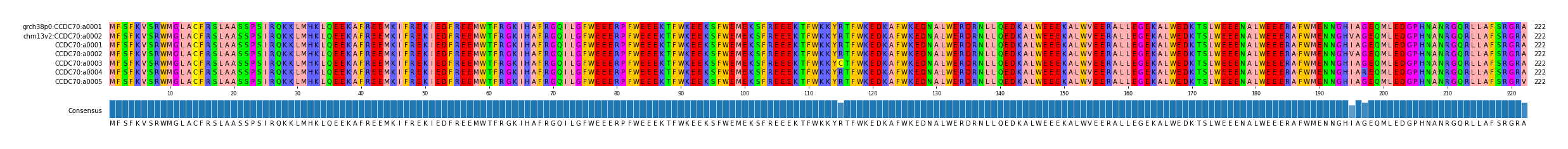 Multiple Alignments (by translate haplotype frequency)
