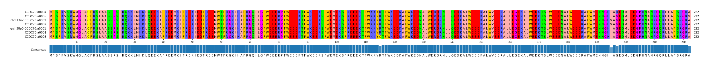 Multiple Alignments (by translate haplotype similarity)