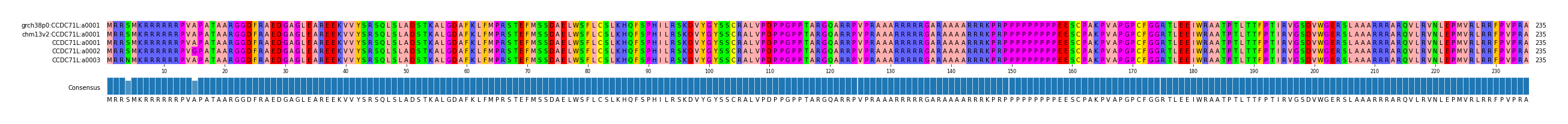 Multiple Alignments (by translate haplotype frequency)