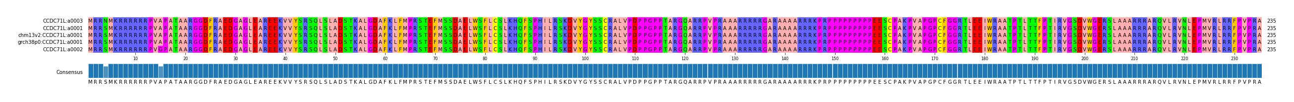 Multiple Alignments (by translate haplotype similarity)