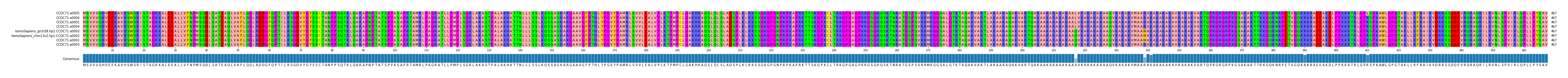 Multiple Alignments (by translate haplotype similarity)
