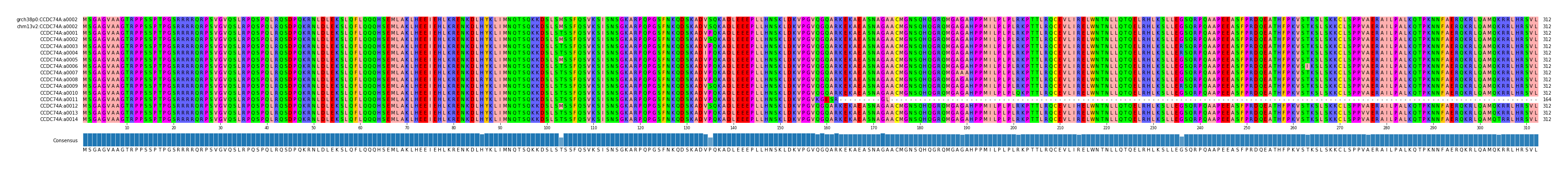 Multiple Alignments (by translate haplotype frequency)