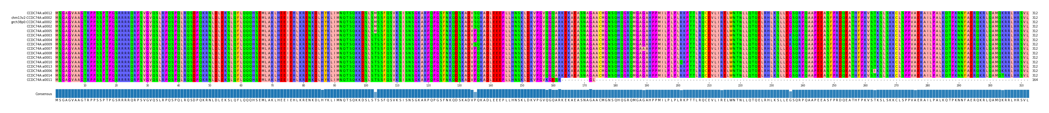 Multiple Alignments (by translate haplotype similarity)