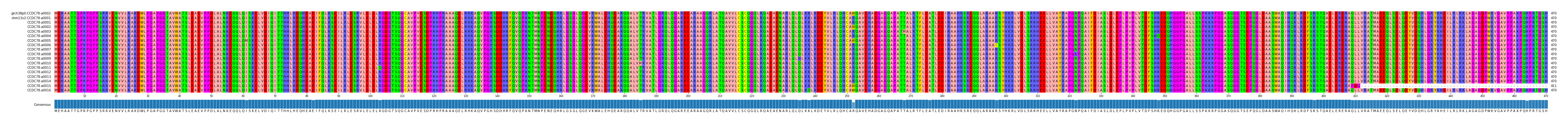 Multiple Alignments (by translate haplotype frequency)