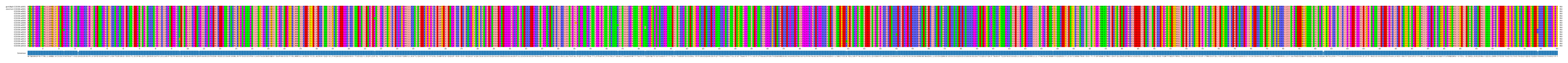 Multiple Alignments (by translate haplotype frequency)