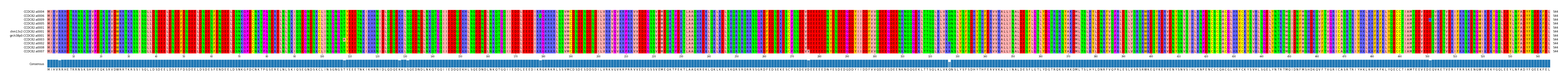 Multiple Alignments (by translate haplotype similarity)
