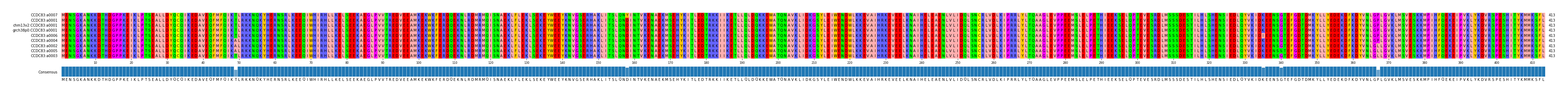 Multiple Alignments (by translate haplotype similarity)