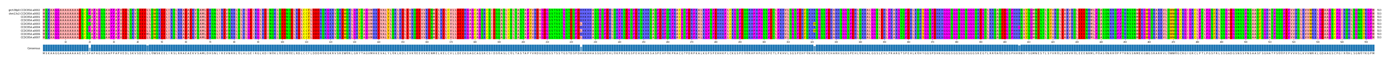 Multiple Alignments (by translate haplotype frequency)