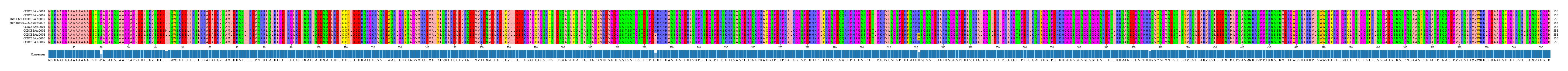 Multiple Alignments (by translate haplotype similarity)