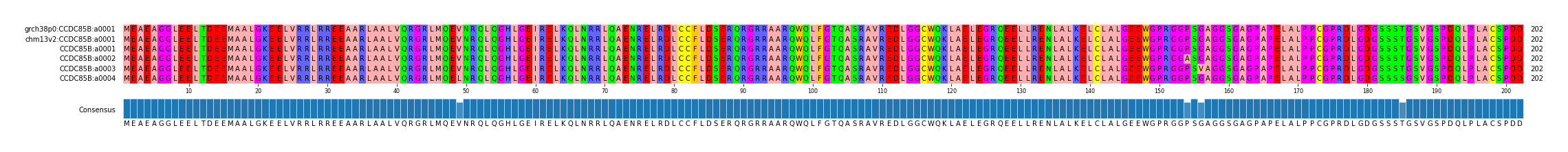 Multiple Alignments (by translate haplotype frequency)